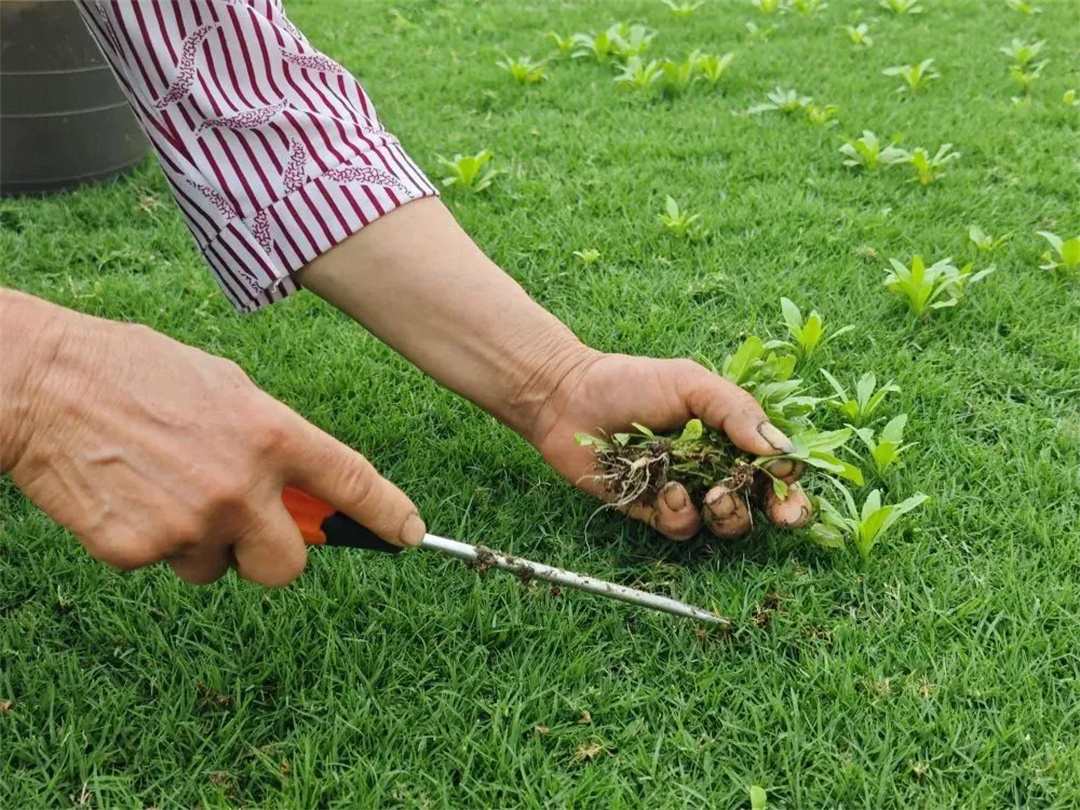 萬(wàn)豪集團(tuán)匠心助力，6月齊聚重慶龍興足球場(chǎng)為國(guó)足吶喊助威！